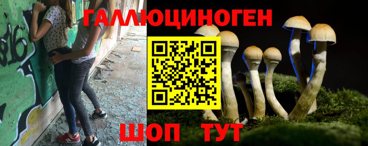 Галлюциногенные грибы Psilocybe  Вход с VPN  Галлюциногенные грибы Cubensis  Комсомольск-на-Амуре 